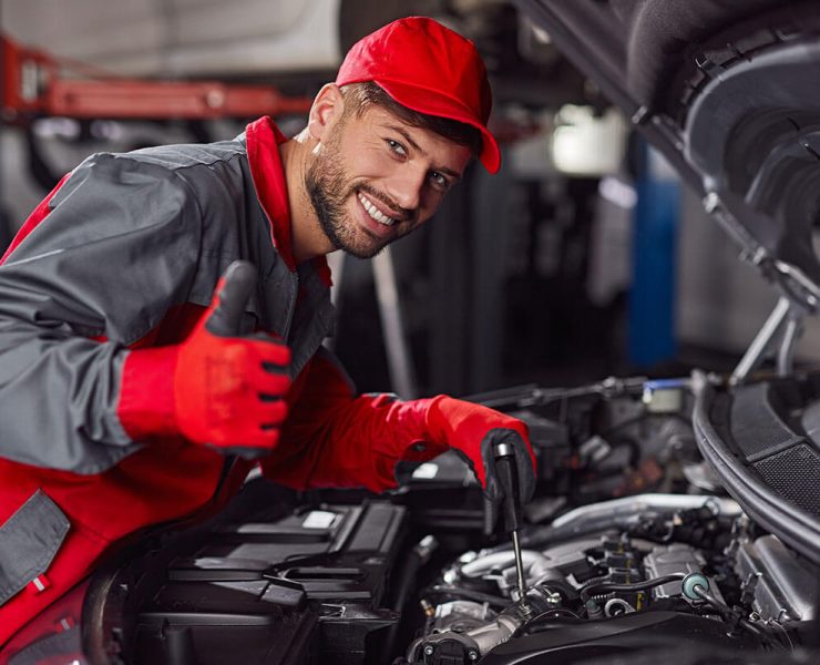 image-sv-1 image-sv-1